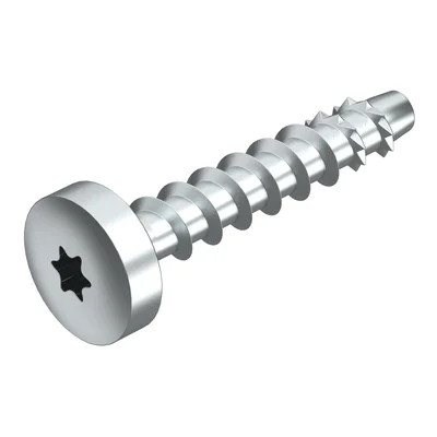 Ancoraggio a vite MMS+ P 6x50, testa svasata