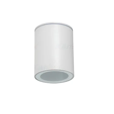 AQILO IP65 DSO-W Ceiling spotlight