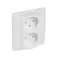 Arctic double electric socket badge