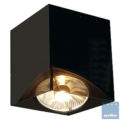 Arcylbox Ceiling lamp black transparent
