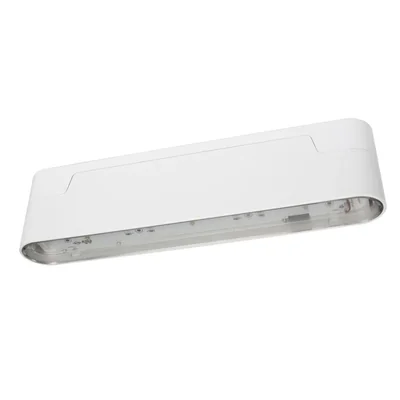 ARROW N LED luminaire 1W 1h single-purpose AT white 230V