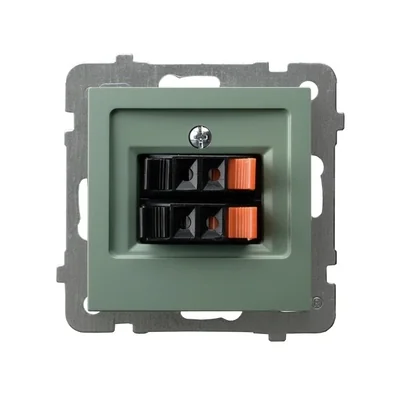 AS Double speaker socket, matt green