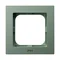 AS Single frame for IP-44 switches, green matt