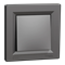 ASFORA 1-pole switch IP44 anthracite