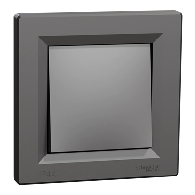 ASFORA IP44 stair switch with anthracite frame