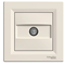 ASFORA TV end socket 1dB cream