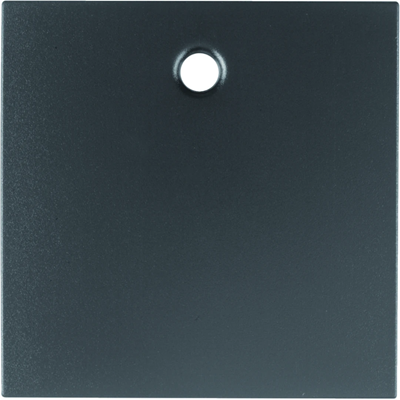 B.3/B.7 Faceplate for draw bar anthracite