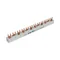 Barre omnibus triphasée EVGK-3PHAS/12MODUL 12MU, sécable