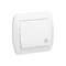 Barrette de jonction 10A 250V bornes à vis blanc