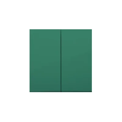 Bascules pour interrupteurs/boutons-poussoirs doubles, vertes