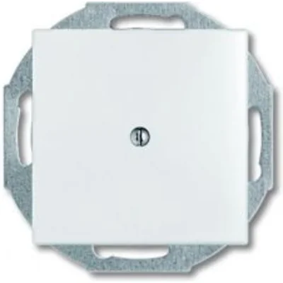 BASIC55 Cover with support ring for cable entry alpine white
