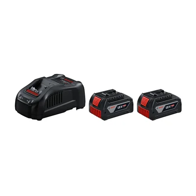 Batterie + chargeur 2x GBA 18V 5.0Ah + GAL 1880 CV