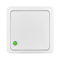 BERG Surface-mounted stair switch 10A IP20 white