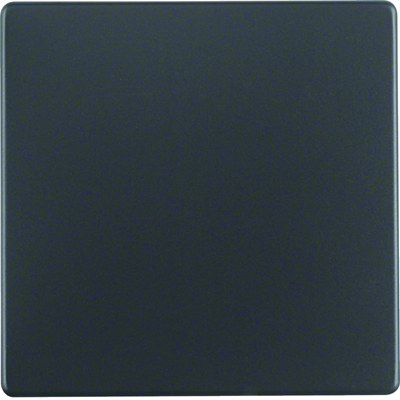 Berker Q.1/Q.3 key anthracite, velvet