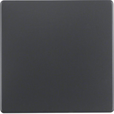 Berker Q.1/Q.3 key anthracite, velvet