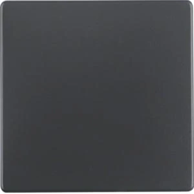 Berker Q.1/Q.3 key anthracite, velvet