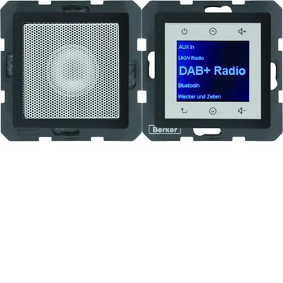 BERKER Q.1/Q.3/Q.7 Radio Touch DAB+ with speaker anthracite lacquered velvet