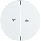 Berker R.1/R.3 keys printed with the "arrow" symbol white, glossy