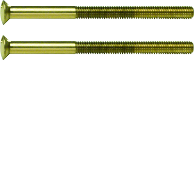 BERKER TS Śruba z dwoma otworami  M3,5 x 50mm złota