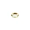 BIAGIO IP44 Gold recessed ceiling lamp