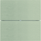 B.IQ Drucktaster 2fach Standard Edelstahl