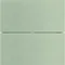 B.IQ Drucktaster 2fach Standard Edelstahl