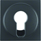 B.KWADRAT/B.3/B.7 Central element for anthracite key switch