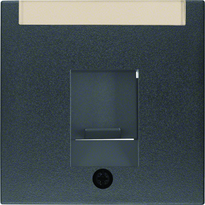B.KWADRAT/B.3/B.7 Single central element with a dust-proof latch and anthracite description field