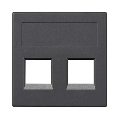 Board S500 2x RJ without covers INFRA+ gray graphite