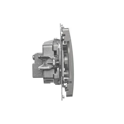 Borne R-TV prise d'antenne séparée (module) satinée (métallique)