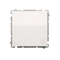 Bouton de sonnerie (module) 10A 250V bornes à vis blanches