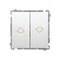 Bouton déclencheur (module) 10A 230V bornes à vis blanches