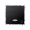 Bouton "Light" avec rétroéclairage LED 10AX 24V bornes à vis graphite mat