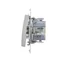Bouton "Light" avec rétroéclairage LED (module) 10A 230V connecteurs rapides argent (métallique)