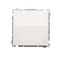 Bouton lumière (module) 10A 250V bornes à vis blanches