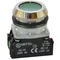 Bouton NEF30-K2X vert