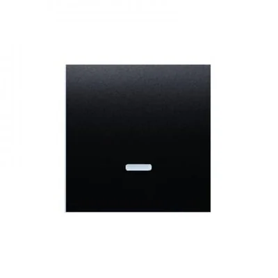 Bouton NO simple à rétroéclairage LED sans pictogramme (module) 16A 250V bornes à vis anthracite (métallique)