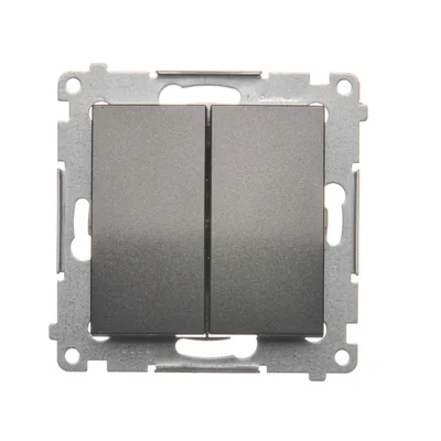 Bouton poussoir double sans pictogramme (module) 10A 250V connecteurs rapides anthracite (métallique)