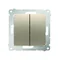 Bouton poussoir double sans pictogramme (module) 10A 250V connecteurs rapides dorés (métalliques)