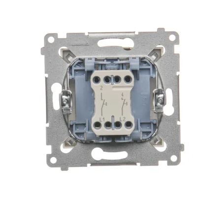 Bouton poussoir double sans pictogramme (module) 10A 250V connecteurs rapides dorés (métalliques)