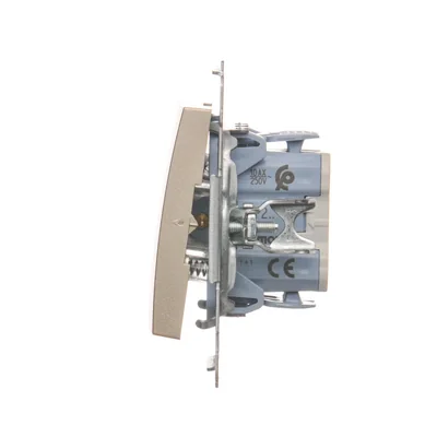 Bouton poussoir double sans pictogramme (module) 10A 250V connecteurs rapides dorés (métalliques)