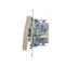 Bouton poussoir double sans pictogramme (module) 10A 250V connecteurs rapides dorés (métalliques)