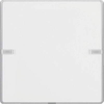 Bouton-poussoir simple KNX e/s Q.x avec champ d'inscription, alu