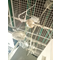BRYCE S Single gray hanging lamp