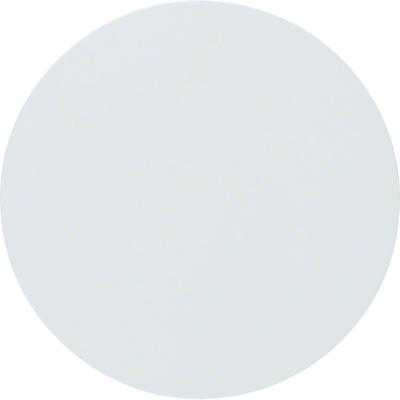 Button Berker R.1/R.3 white, glossy