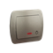 Button light with backlight 10A 250V screw terminals satin (metallic)