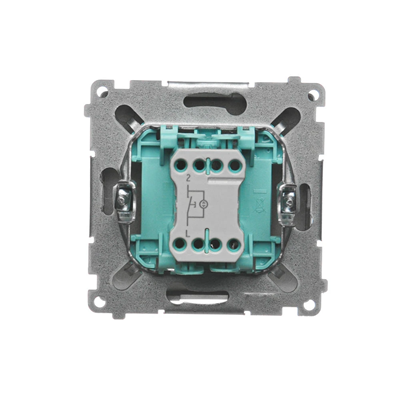 Button light with backlight (module) 10A 250V screw terminals satin (metallic)