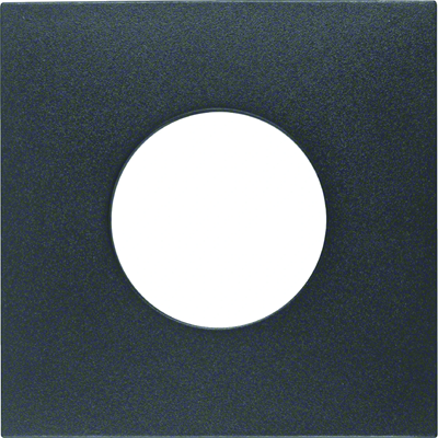 B.x Front plate for switch and light indicator E10 anthracite