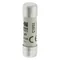 C10G2 Cylindrical insert 10 x 38 mm 2A GG 500V AC