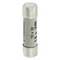 C10G6 Cylindrical insert 10 x 38 mm 6A GG 500V AC
